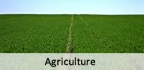 Agriculture
